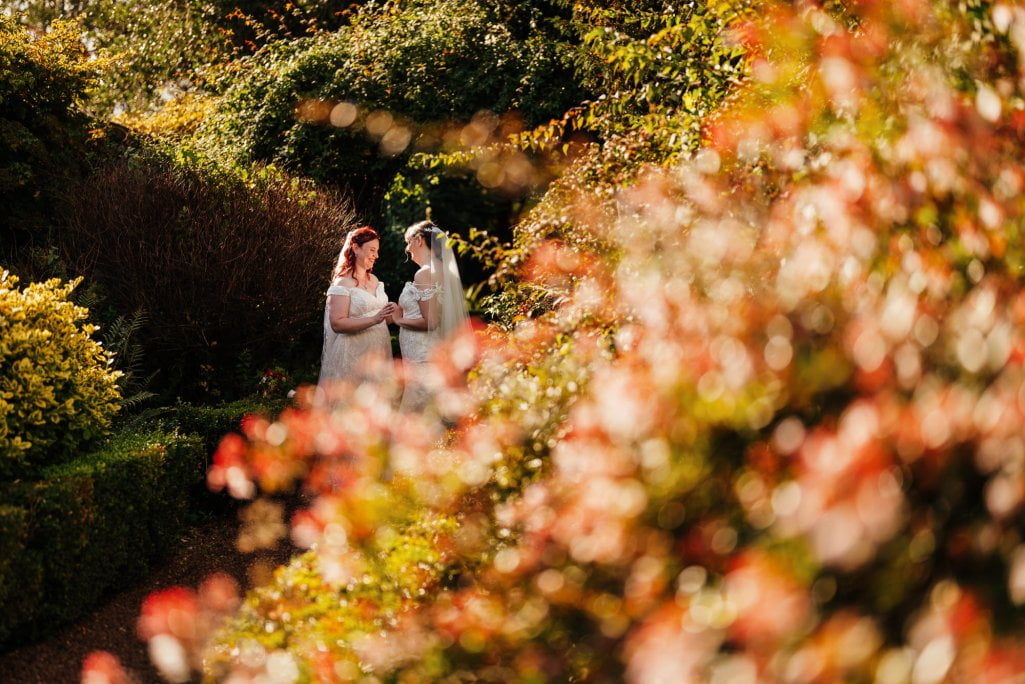 Brides holding hands in sunlit garden